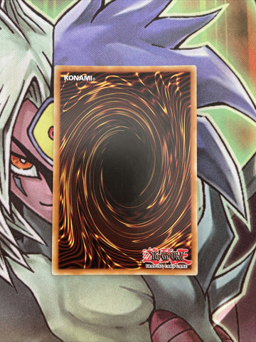 PGL2-EN087 Naturia Barkion Gold Rare 1st Edition NM Yugioh Card (back)