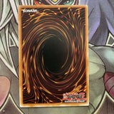 SDMY-EN005 Kuribohrn Common 1st Edition NM Yugioh