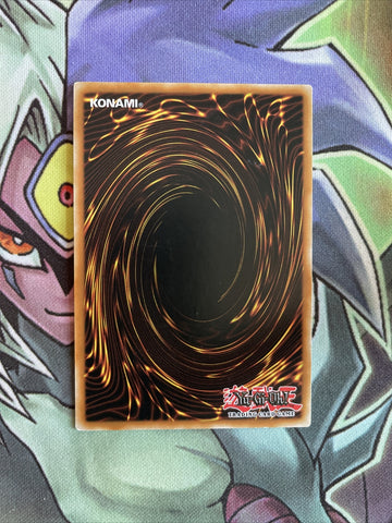 DL14-EN019 Light-Imprisoning Mirror Purple Rare 1st Edition NM Yugioh Card (back)