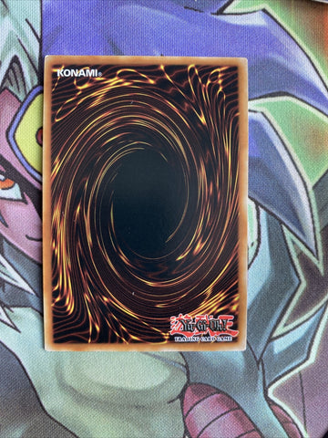 ANGU-EN034 Ursarctic Septentrion Ultra Rare 1st Edition NM Yugioh Card (back)