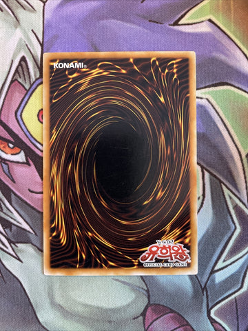 DP00-KR012 Buster Blader Common KOREAN UNL Edition NM Yugioh Card (back)