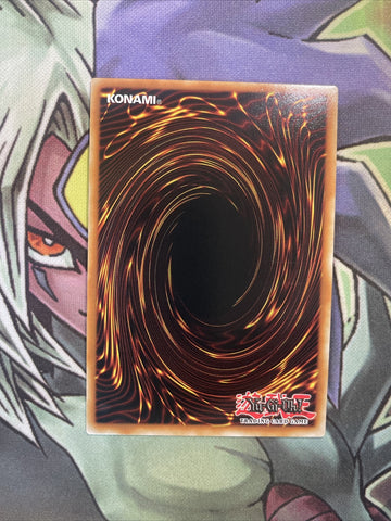 RA01-EN039 Number 100: Numeron Dragon New Collectors NM 1st Edition Yugioh Card (back)