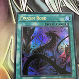 LED4-EN026 Frozen Rose Ultra Rare 1st Edition Yugioh Card