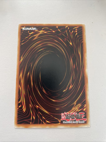 CYHO-EN051 CYNET RITUAL RARE 1ST EDITION YuGiOh CARD (back)