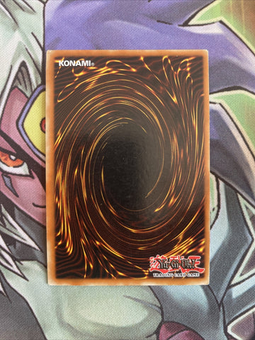 DIY-P006 Dark Magician Ultra Rare Portugese 1st Edition NM Yugioh Card (back)