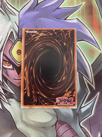 PEVO-EN005 White Wing Magician Ultra Rare 1st Edition NM Yugioh Card (back)
