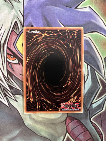 PEVO-EN048 Ritual Beast Tamer Zeframpilica Super 1st Edition NM Yugioh Card (back)