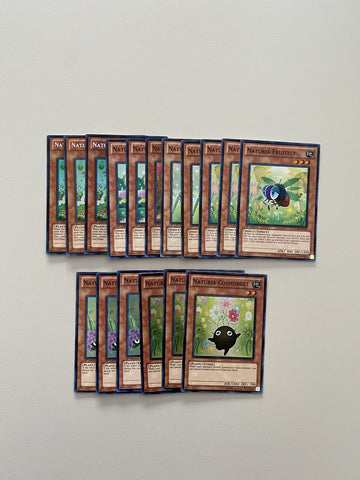 Deck Core Naturia 17 Cards YuGiOh
