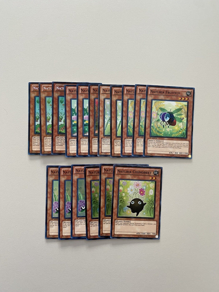 Deck Core Naturia 17 Cards YuGiOh