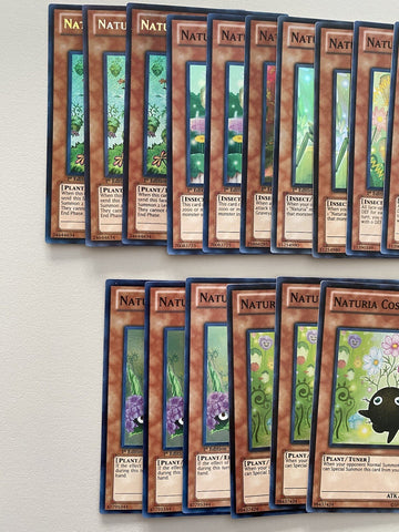 Deck Core Naturia 17 Cards YuGiOh (back)