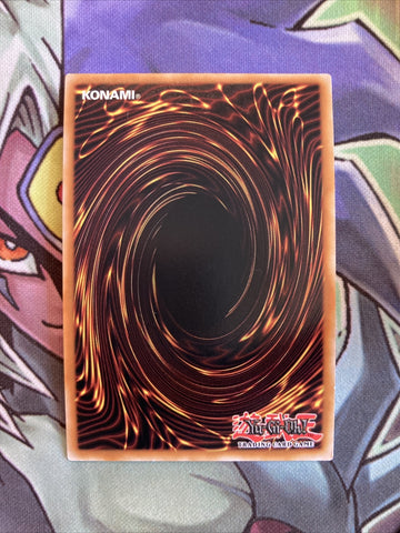OP12-EN012 Salamangreat Rage Super Rare UNL Edition NM Yugioh Card (back)