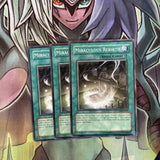 CP08-EN019 x3 Miraculous Rebirth Common Excellent Condition Yugioh