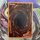DR1-EN137 Ultimate Obedient Fiend Common Unlimited Edition NM Yugioh Card