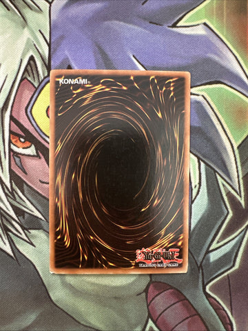 MFC-021 Neko Mane King Common 1st Edition NM Yugioh Card (back)