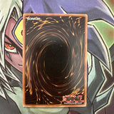 MFC-021 Neko Mane King Common 1st Edition NM Yugioh Card