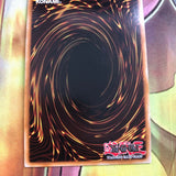 DOCS-EN074 GRAYDLE PARASITE Super Rare Yugioh