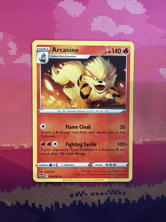 Pokemon Card Arcanine Silver Tempest Rare 020/195 Near Mint