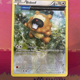 Pokemon Card Bidoof Primal Clash Uncommon 117/160 Near Mint