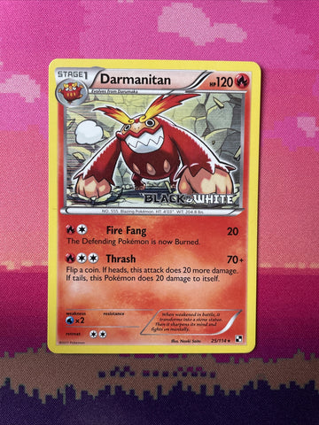 Pokemon Card Darmanitan Black & White STAMPED Holo Rare 25/114 Near Mint