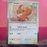 Pokemon Card Eevee 200 Black Star Promo Near Mint