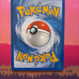 Pokemon Card Phanpy SWSH117 Black Star Promo Cosmo Holo Near Mint