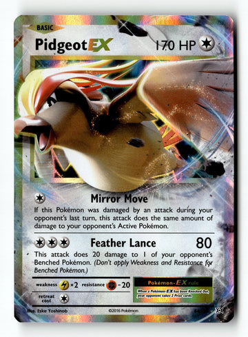 Pokemon Card Pidgeot EX Holo LP XY - Evolutions 64/108