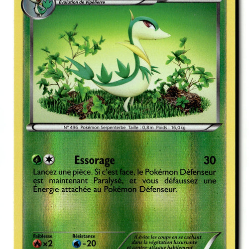 Pokemon TCG - Servine 4/114 - Black & White Base - Reverse Holo French