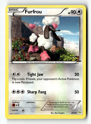 Pokemon Card Furfrou LP XY Trainer Kit: Sylveon & Noivern Common 20/30