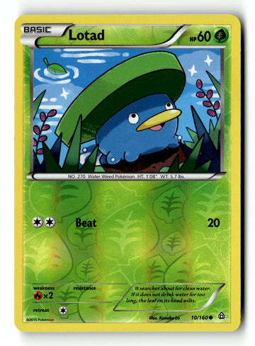 Pokemon Card Lotad LP XY - Primal Clash Reverse Holo Common 10/160