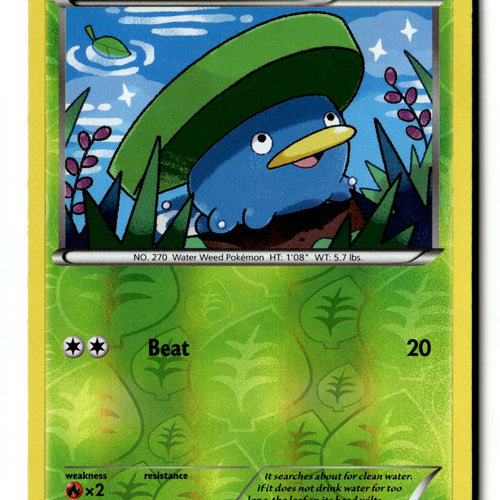 Pokemon Card Lotad LP XY - Primal Clash Reverse Holo Common 10/160