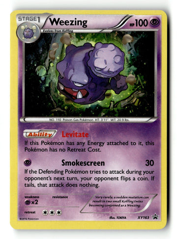 Pokemon Card Weezing - Holo LP XY Promos XY163