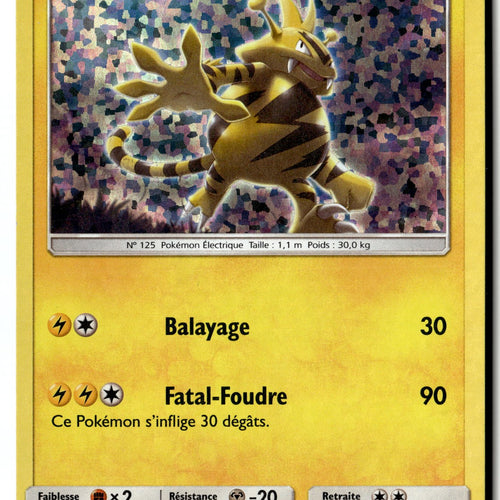Pokemon Card Electabuzz LP -  2019 FRENCH McDonald's Holo 25/40