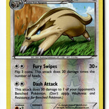 Pokemon Card Linoone LP XY - Primal Clash Reverse Holo Uncommon 112/160