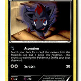 Pokemon Card Zorua (69) LP Dark Explorers 69/108