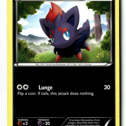 Pokemon Card Zorua LP Black and White 70/114