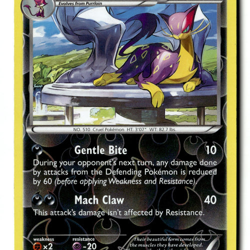 Pokemon Card Liepard LP XY - Phantom Forces Reverse Holo Uncommon 57/119