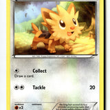 Pokemon Card Lillipup (81) LP Black and White Common 81/114
