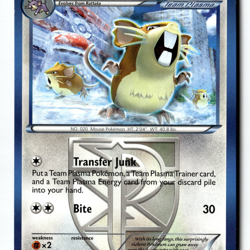 Pokemon Card Raticate (Team Plasma) Normal LP Plasma Freeze Rare 88/116