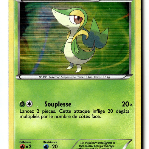 Pokemon Card Snivy BW01 Black and White Promos LP