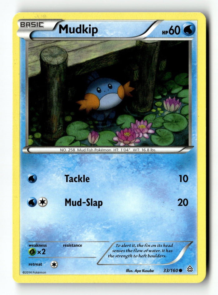 Pokemon Card Mudkip LP XY - Primal Clash 33/160