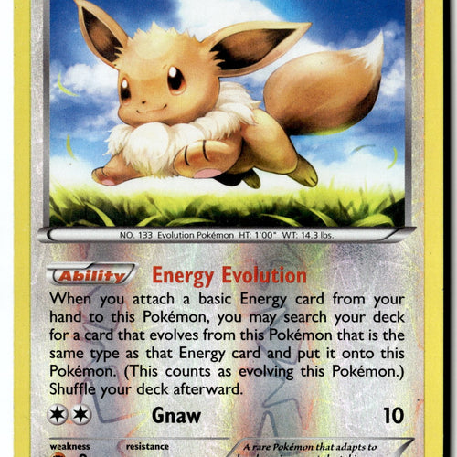 Pokemon Card Eevee LP XY - Furious Fists Reverse Holo Common 80/111