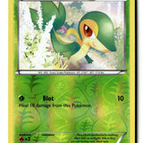 Pokemon Card Snivy Reverse Holo LP XY - Fates Collide 5/124