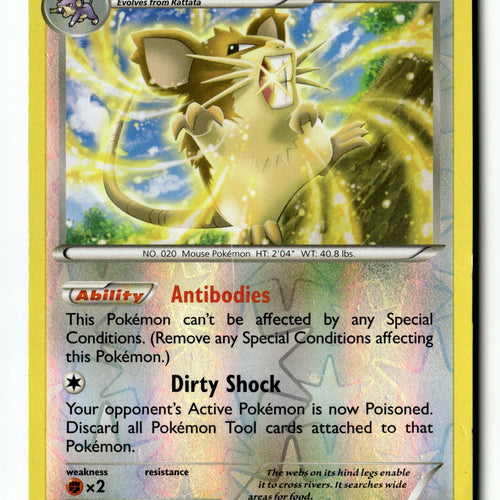Pokemon Card Raticate Reverse Holo LP XY - BREAKpoint Rare 88/122