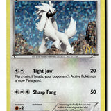 Pokemon Card Furfrou - 12/12 LP McDonald's Promos 2014 Promo 012/012