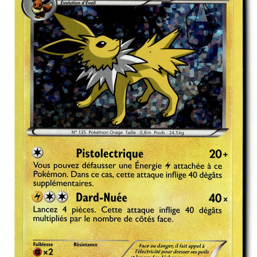Pokemon Card Jolteon McDonald's 2013 Holo 6/12