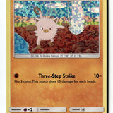 Pokemon Card Mankey - 8/12 Holo LP McDonald's Promos 2019 008/012 (1)