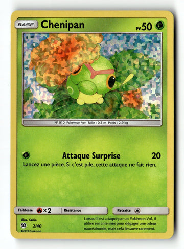 Pokemon Card Caterpie McDonald's 2019 Holo 2/40 (1)