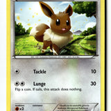 Pokemon Card Eevee LP XY - Ancient Origins 63/98
