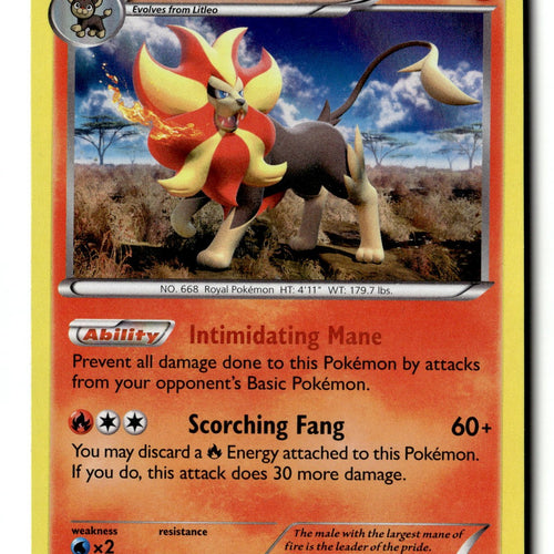 Pokemon Card Pyroar Holo LP XY - Flashfire 20/106