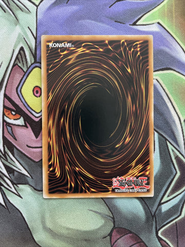 LDS1-EN003 Red-Eyes Darkness Dragon Common 1st Edition Near Mint Yugioh Card (back)